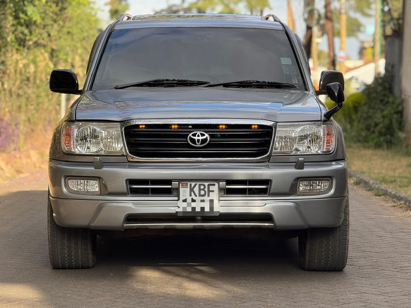 2004 Toyota Land Cruiser Amazon 4.2L Diesel V8 Automatic - photo 3