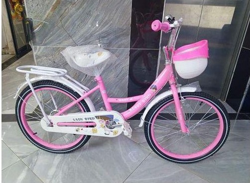 Lady Bird Kids Bicycle Size 16 – Pink & White with Training Wheels, Basket & Bell - photo 2