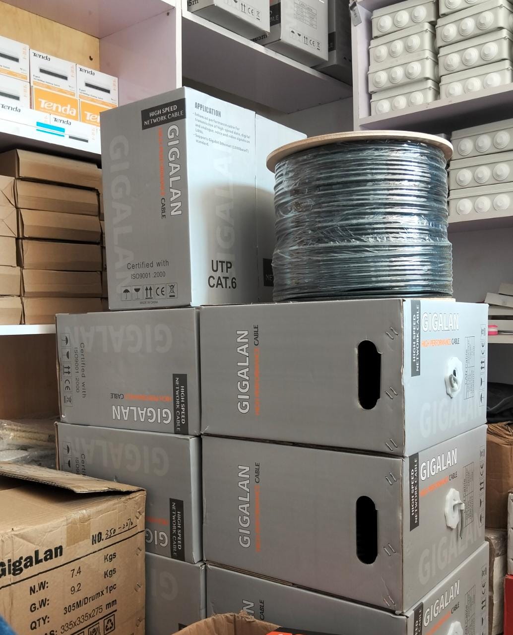 Gigalan CAT6 Indoor Network Cable – High-Speed UTP Ethernet Cable for LAN & Networking
