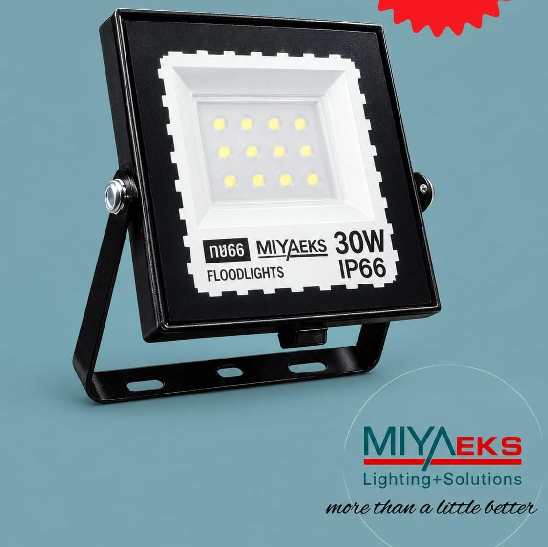 MIYAEKS 30W LED Flood Light – IP66 Waterproof Outdoor Security Light